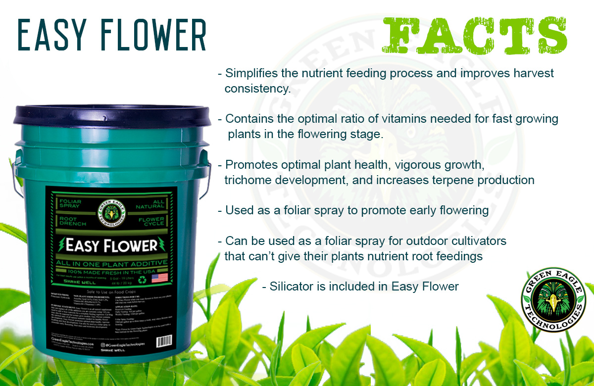 Easy Flower facts by Green Eagle Technologies