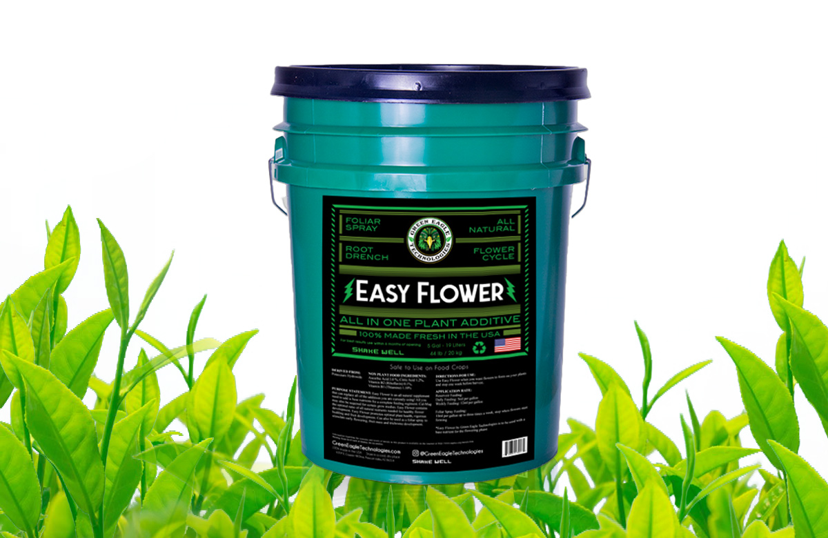 Easy Flower by Green Eagle Technologies