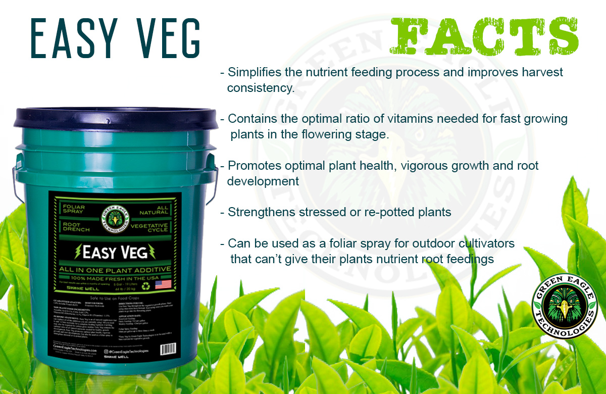 Easy Veg facts by Green Eagle Technologies