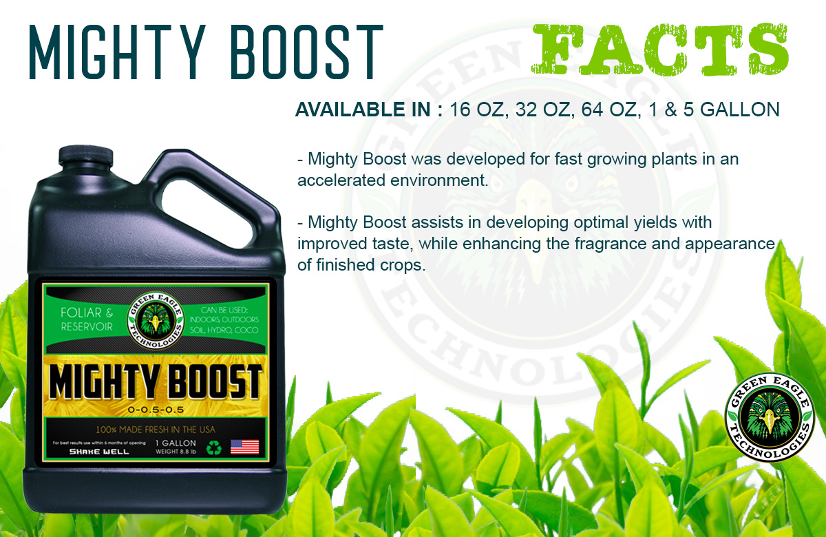 Mighty Boost Facts