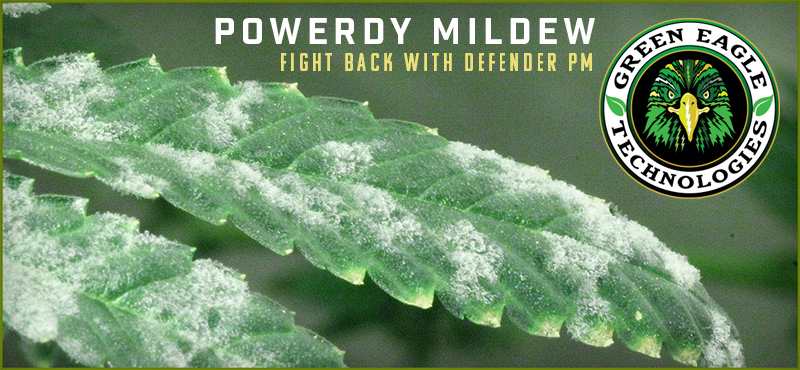 Fight Powdery Mildew with Defender PM